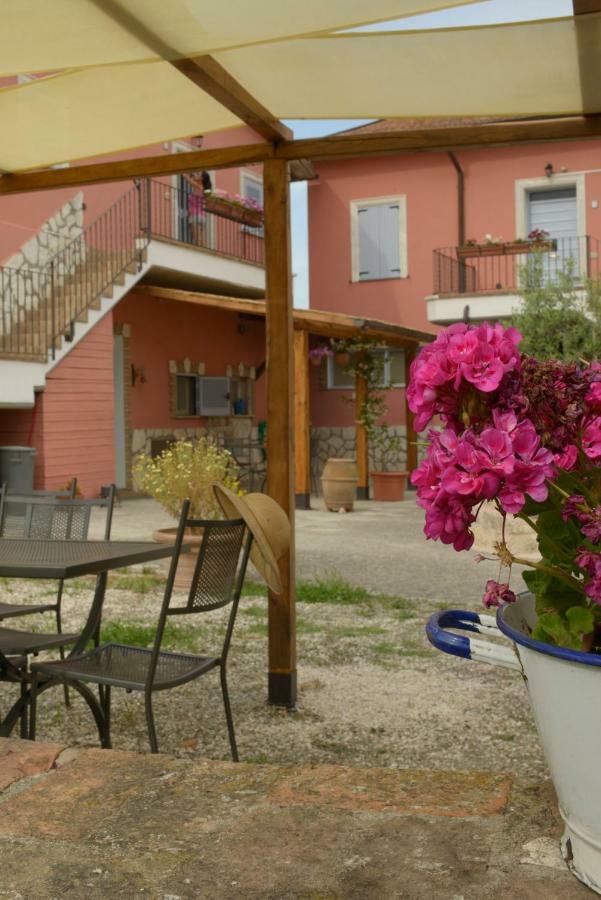 Апартаменти Agriturismo Colle Al Sole Кастільйоне-дель-Лаго Екстер'єр фото